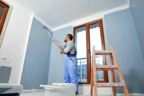 Best Industrial Mold Remediation  in Enosburg Falls, VT