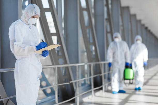 Best Dehumidification Services  in Enosburg Falls, VT