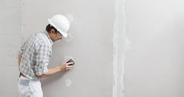 Best Mold-Related Health Consultation  in Enosburg Falls, VT