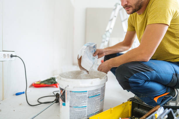 Best Mold Documentation for Insurance Claims  in Enosburg Falls, VT