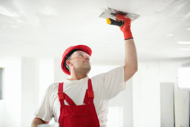Best Emergency Mold Remediation  in Enosburg Falls, VT