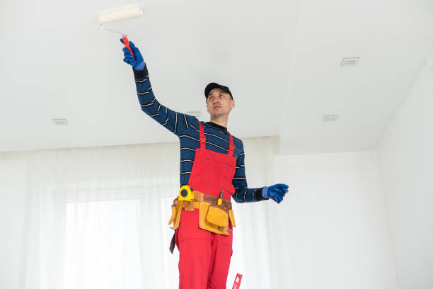 Best Mold Odor Removal Services  in Enosburg Falls, VT