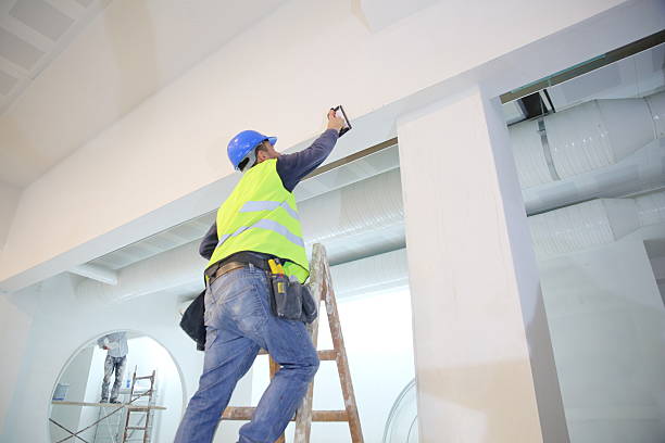 Best Mold Damage Restoration  in Enosburg Falls, VT