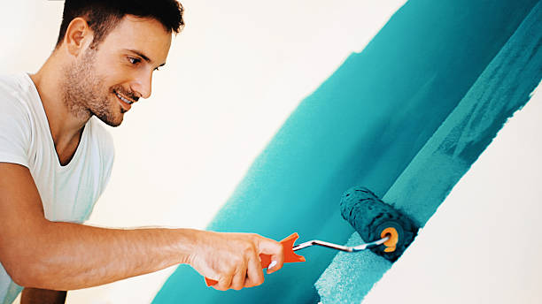 Reliable Enosburg Falls, VT Mold Removal Solutions