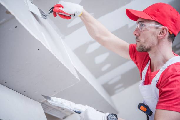 Best Environmental Consulting for Mold Prevention  in Enosburg Falls, VT